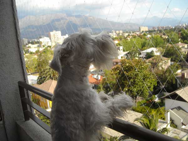 Mallas para mascotas